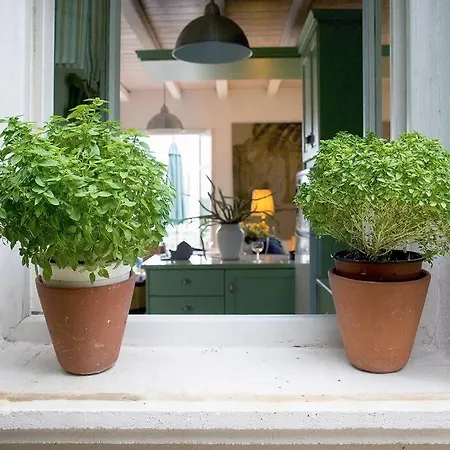 Circe - Ionian Sea View 别墅